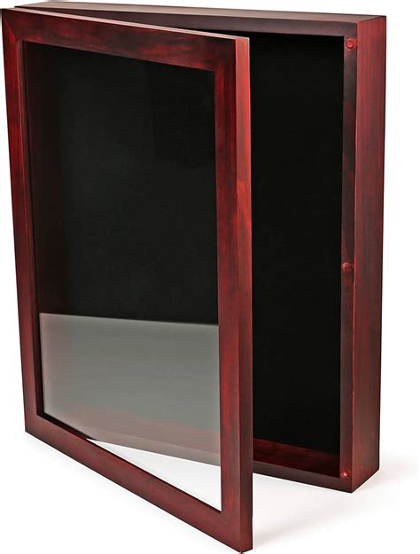 swingframe shadow box case